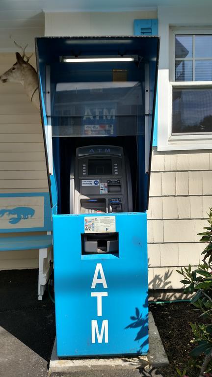 Little Miss Cottages オールドオーチャードビーチ エクステリア 写真
